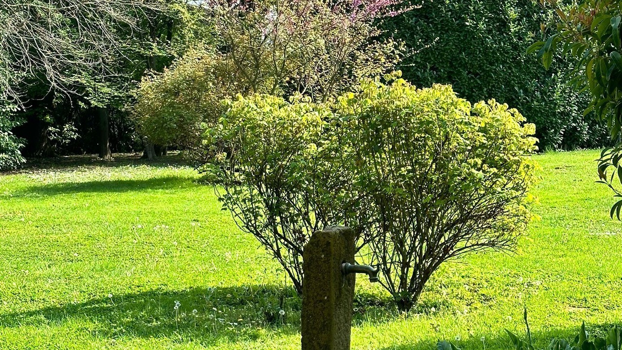 Photo of Outdoor in Padova