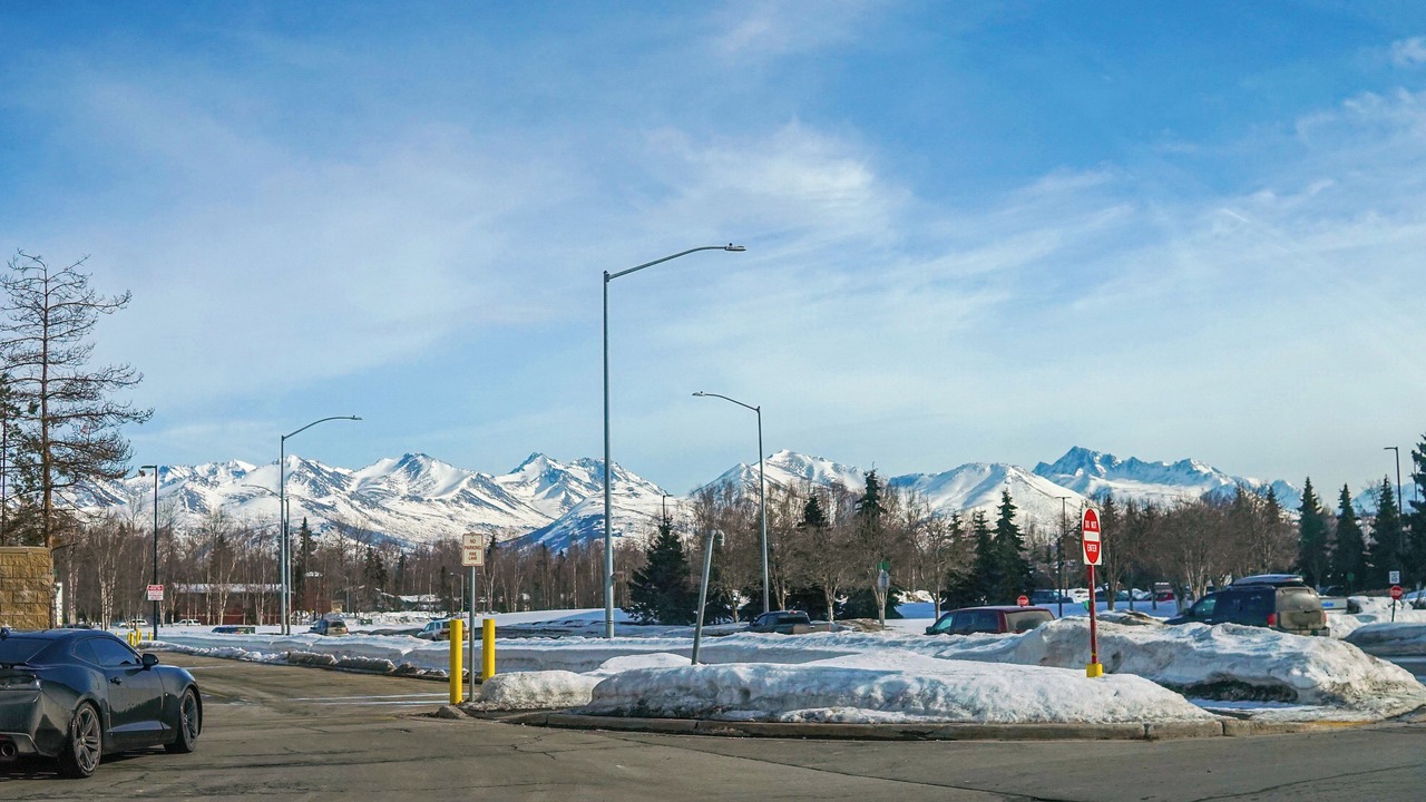 Photo of Others in Midtown Anchorage