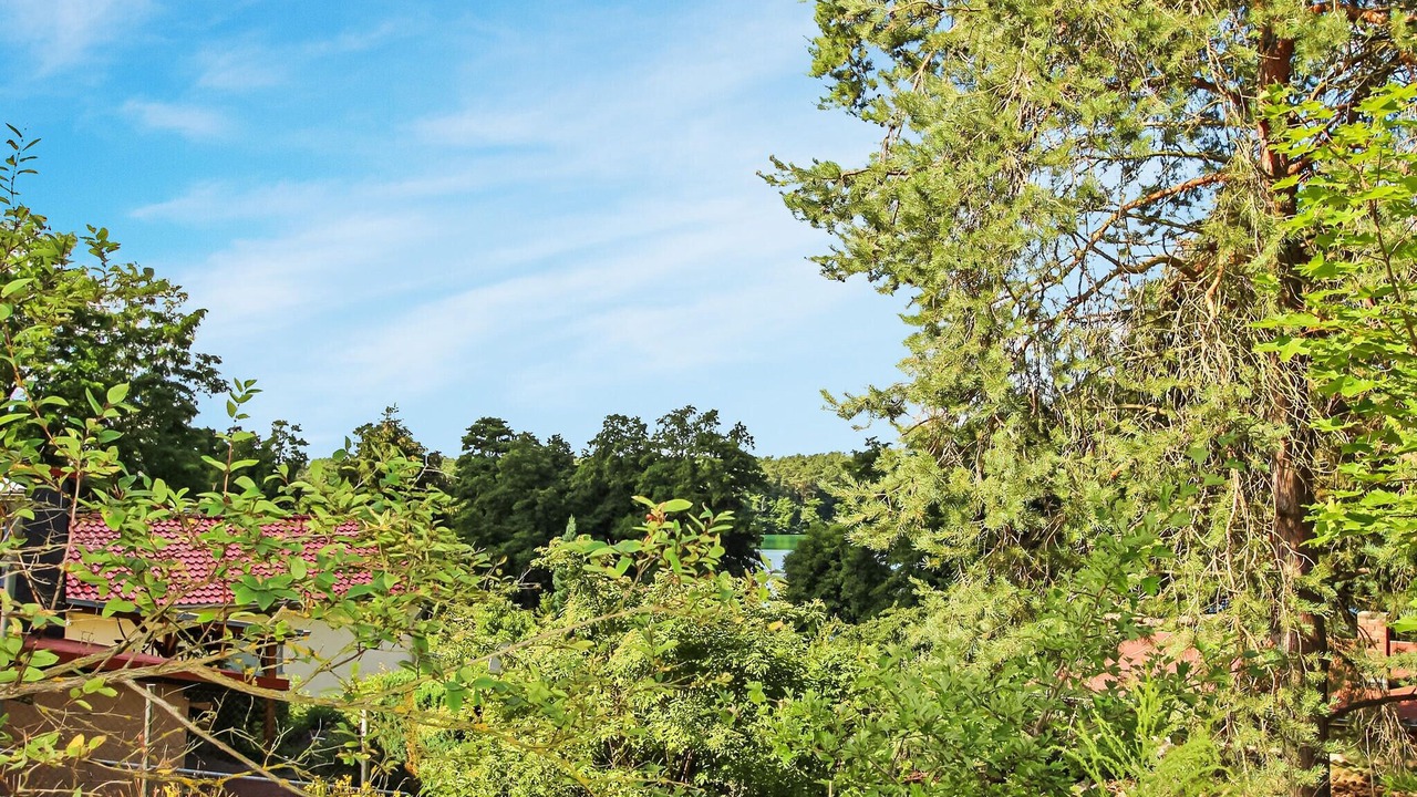 Photo of Others in Lychen