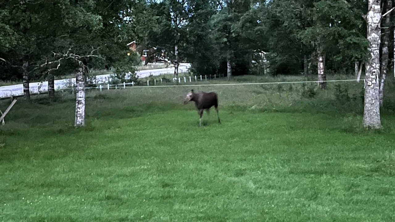 Photo of Outdoor in Hagfors Municipality