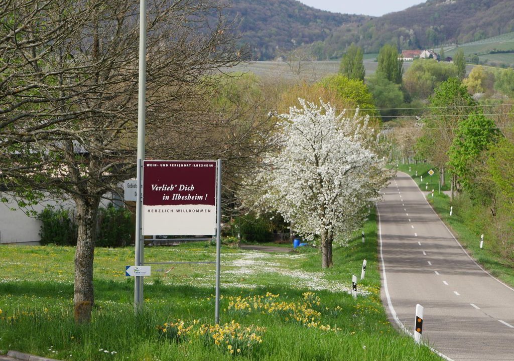 Photo of Others in Ilbesheim