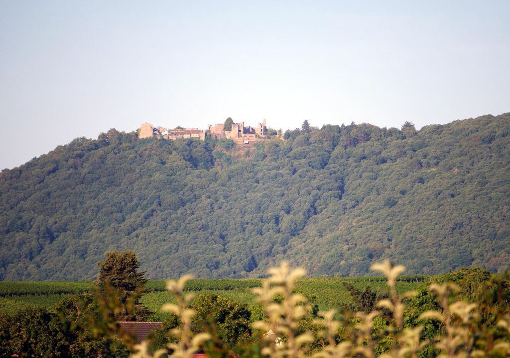 Photo of Others in Ilbesheim
