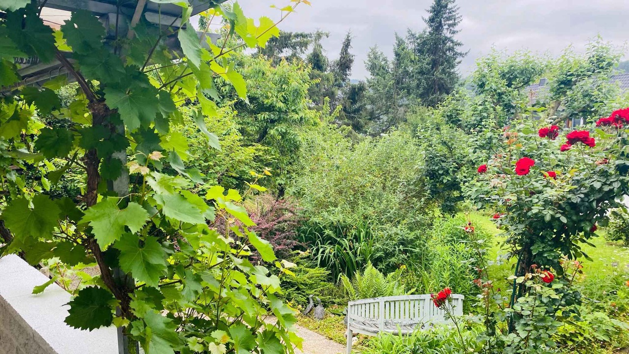 Photo of Outdoor in Kamp-Bornhofen