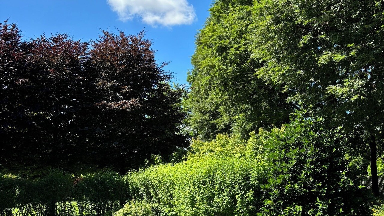Photo of Outdoor in Selvazzano Dentro