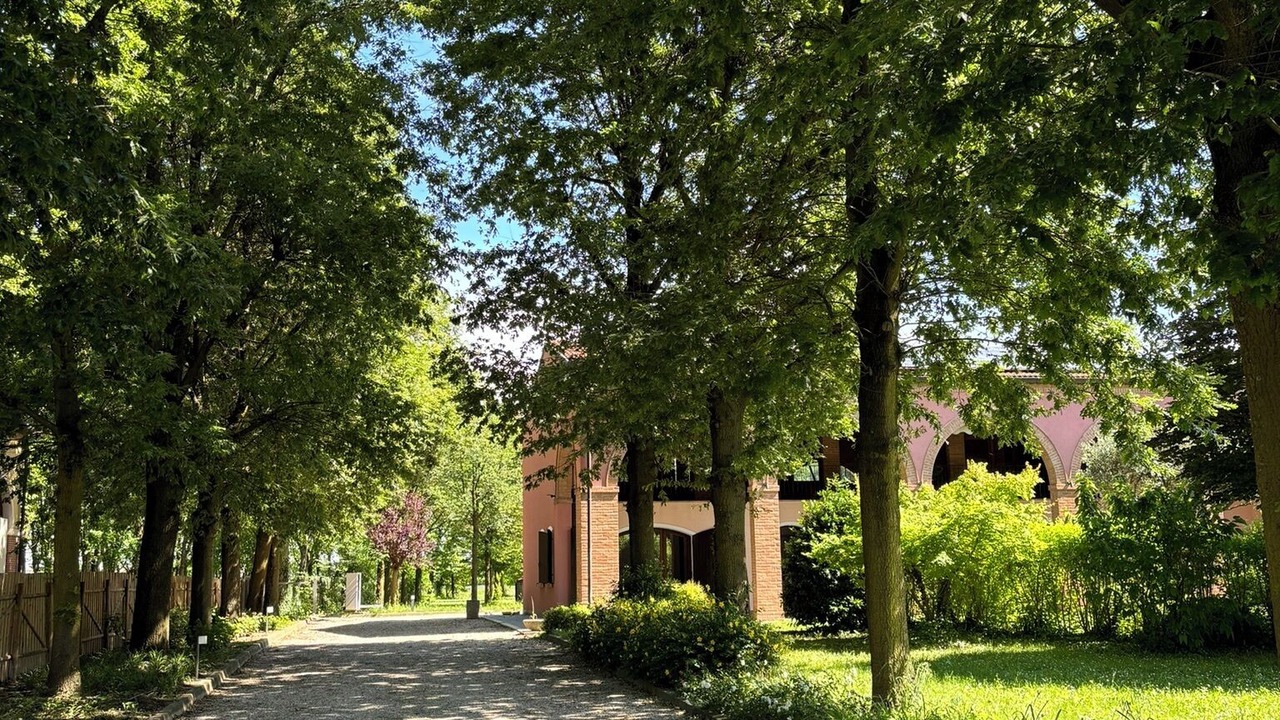 Photo of Outdoor in Selvazzano Dentro