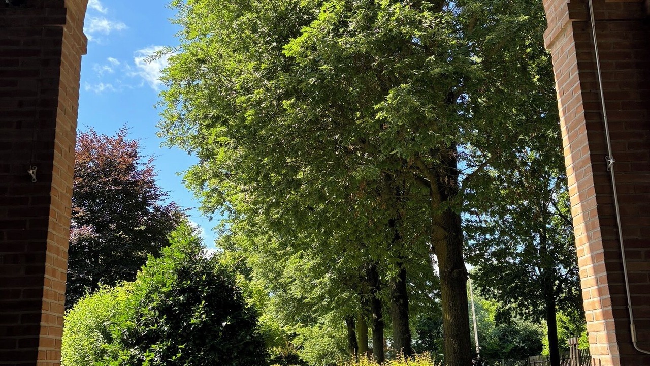 Photo of Outdoor in Selvazzano Dentro