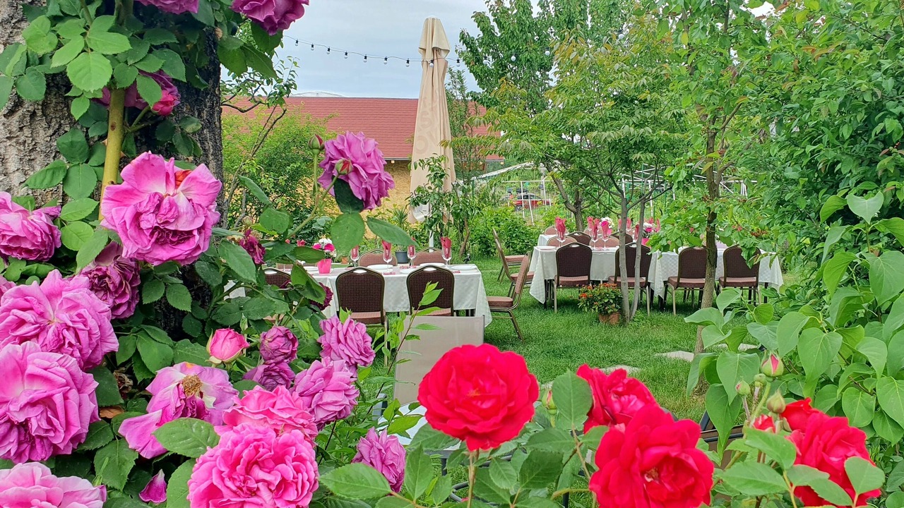 Photo of Outdoor in Ciolpani