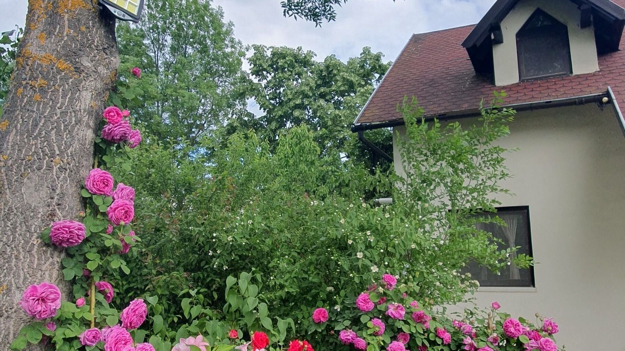 Photo of Outdoor in Ciolpani