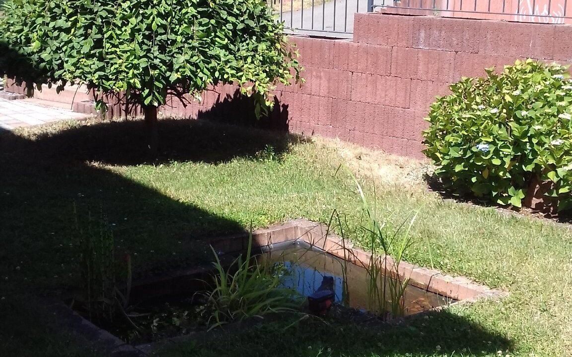 Photo of Outdoor in Dahn