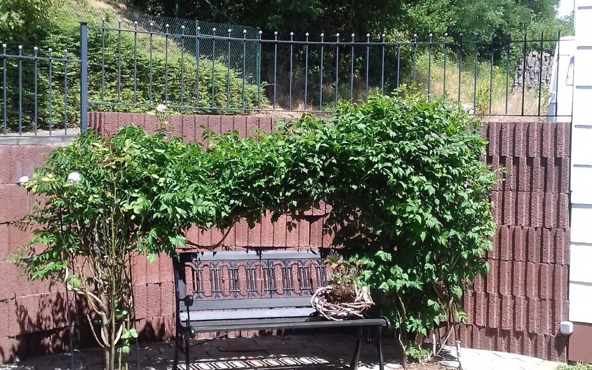 Photo of Outdoor in Dahn