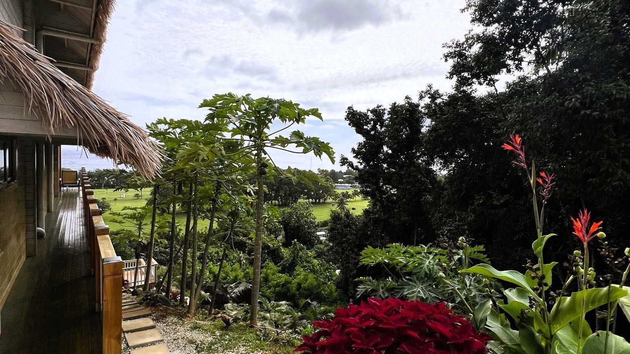 Photo of Outdoor in Arorangi
