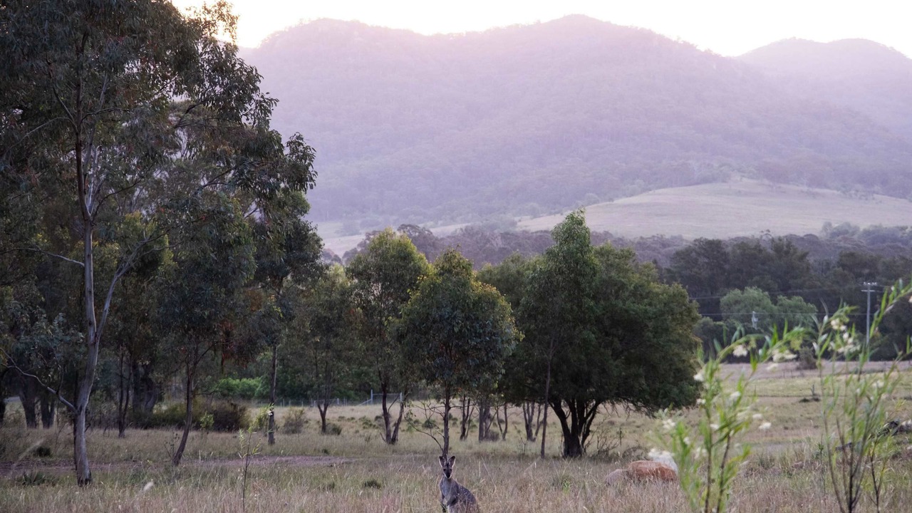 Photo of Others in Martindale
