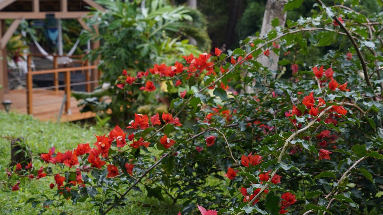 Photo of Outdoor in Rio Blanco