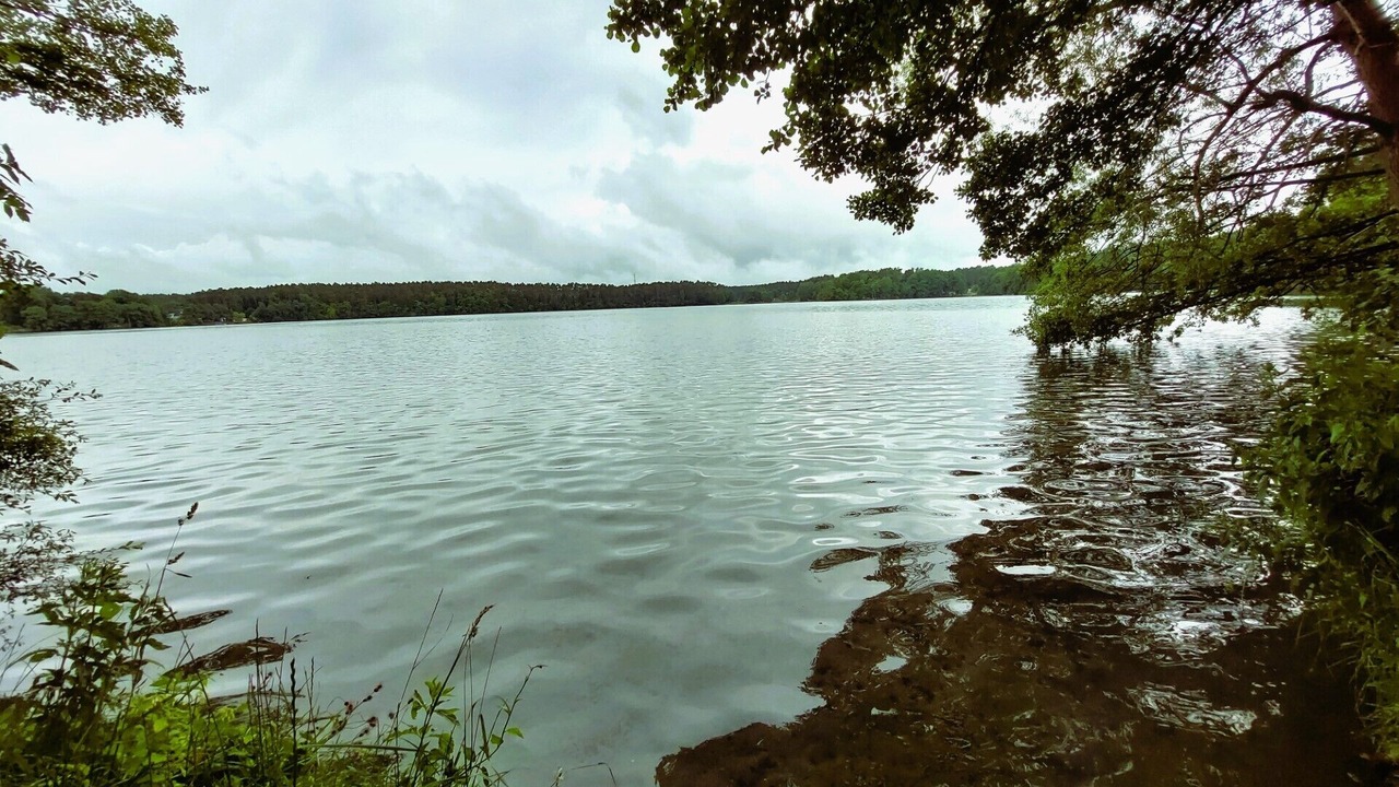 Photo of Others in Lychen