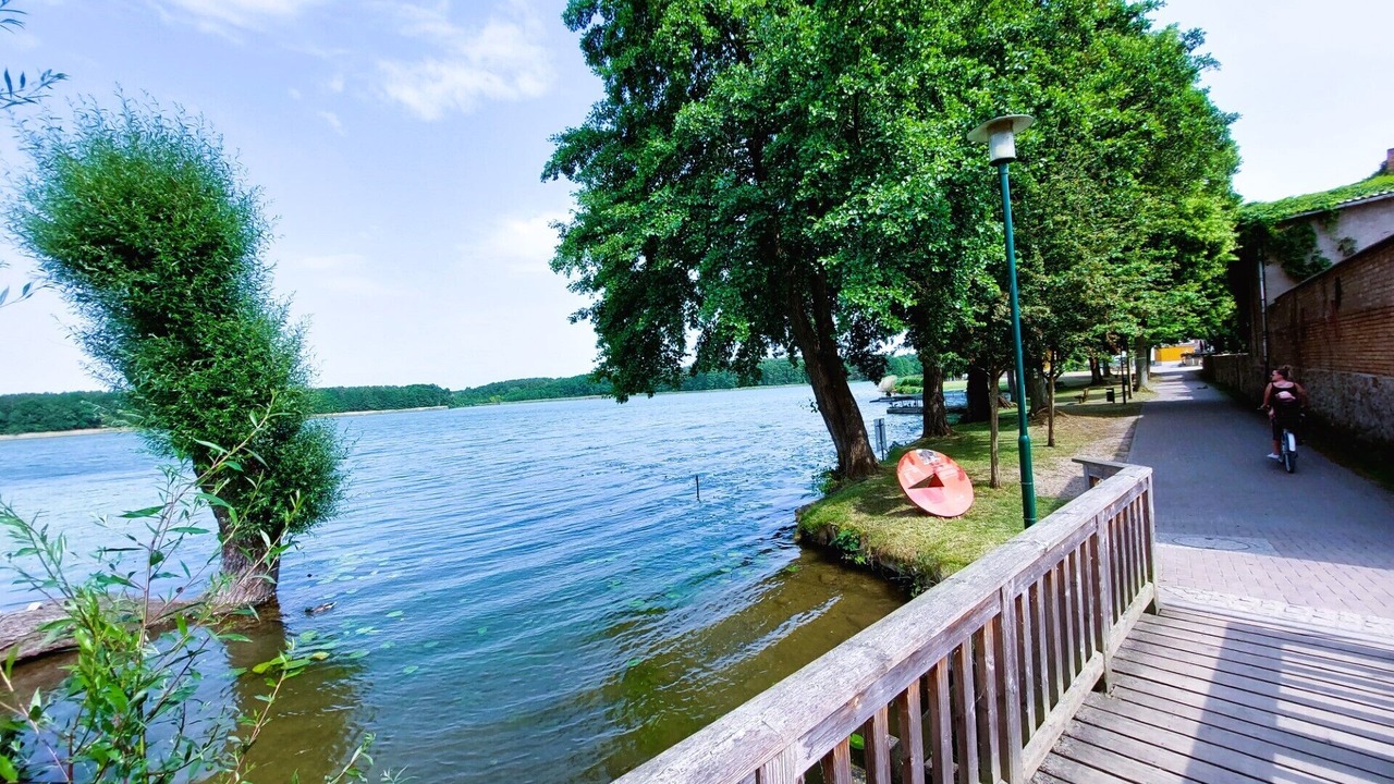 Photo of Others in Lychen
