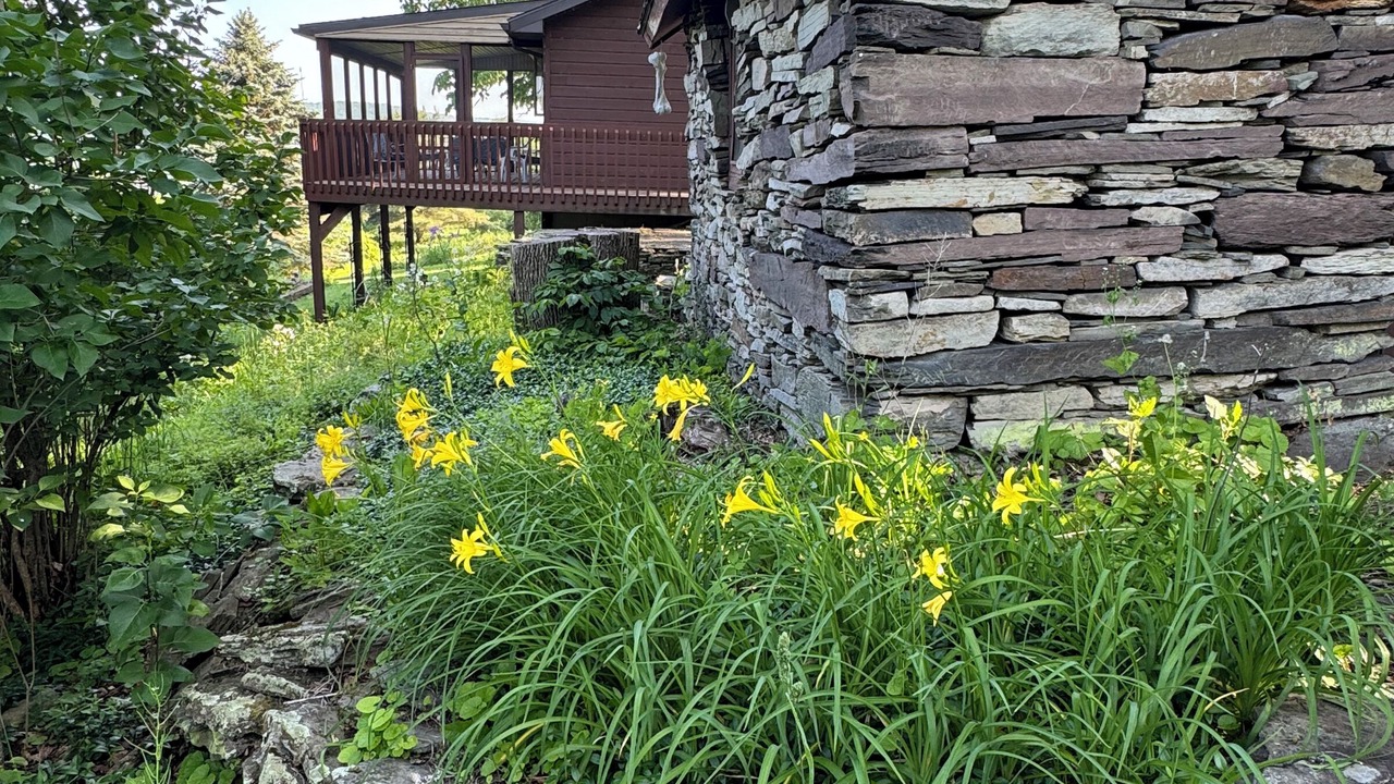 Photo of Outdoor in Morton