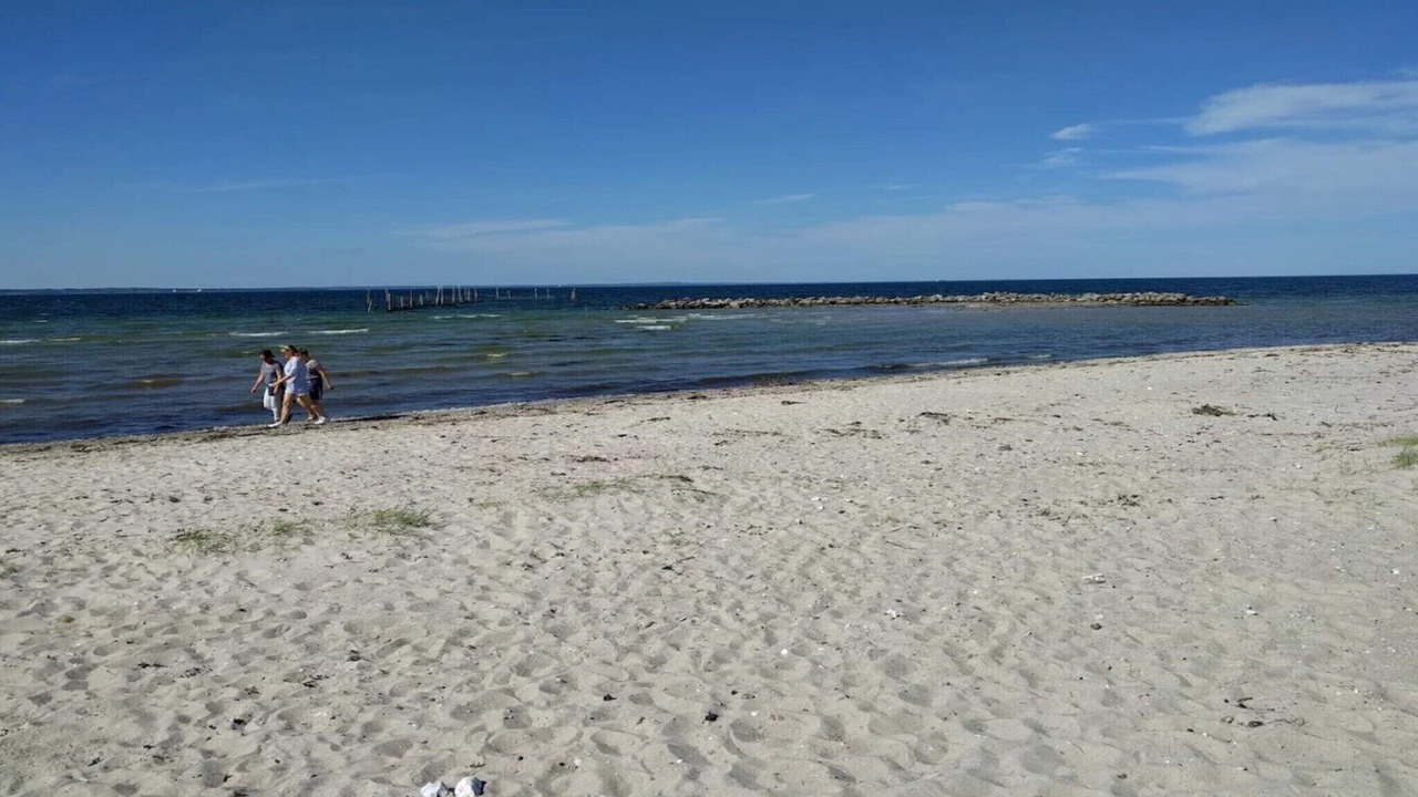 Photo of Others in Vejlby Fed