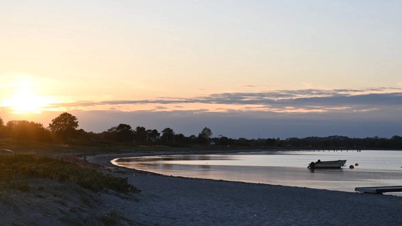 Photo of Others in Vejlby Fed