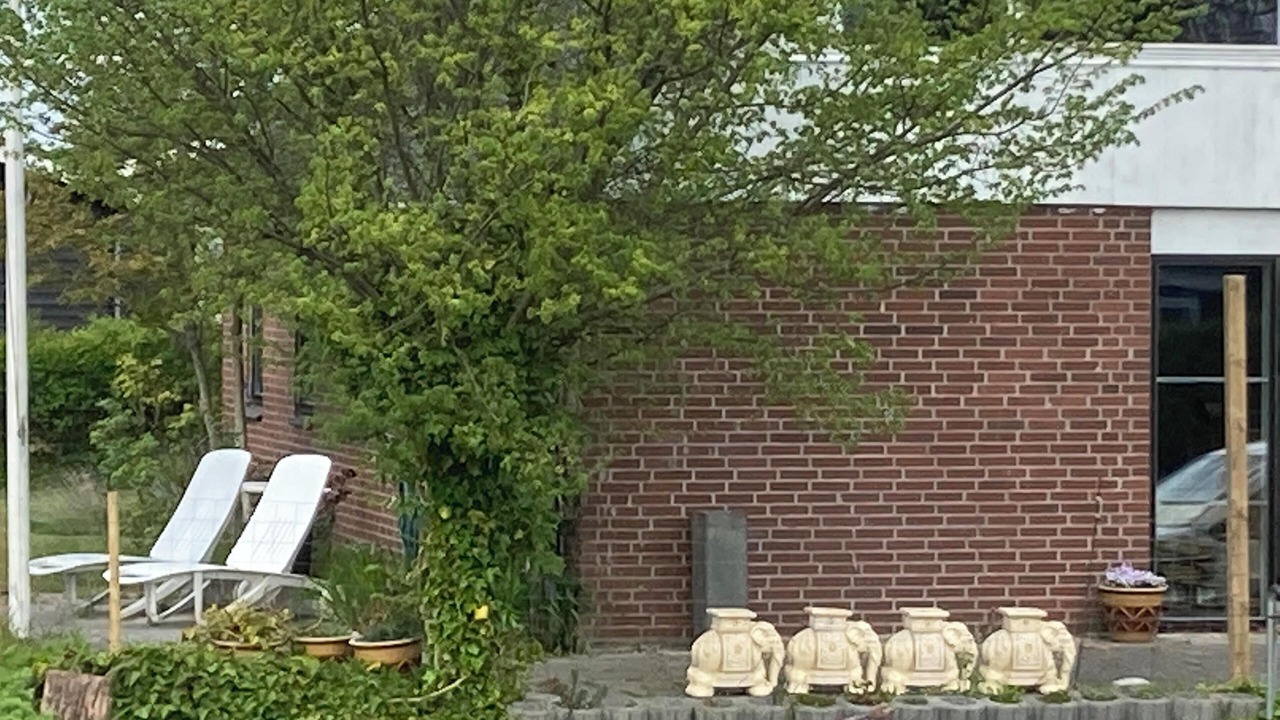 Photo of Others in Mesinge