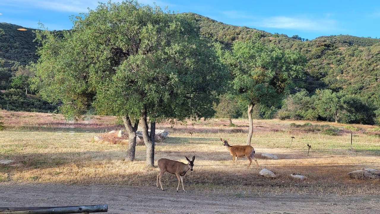 Photo of Outdoor in Tehachapi