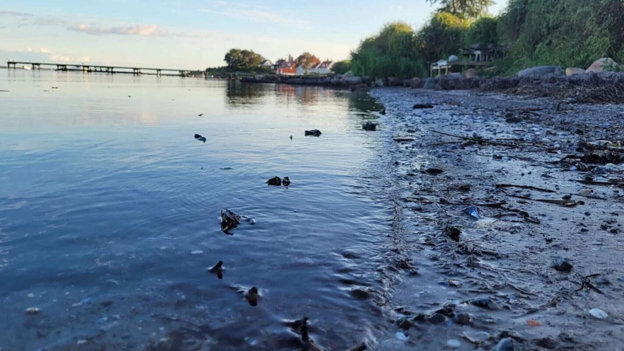 Photo of Others in Faaborg