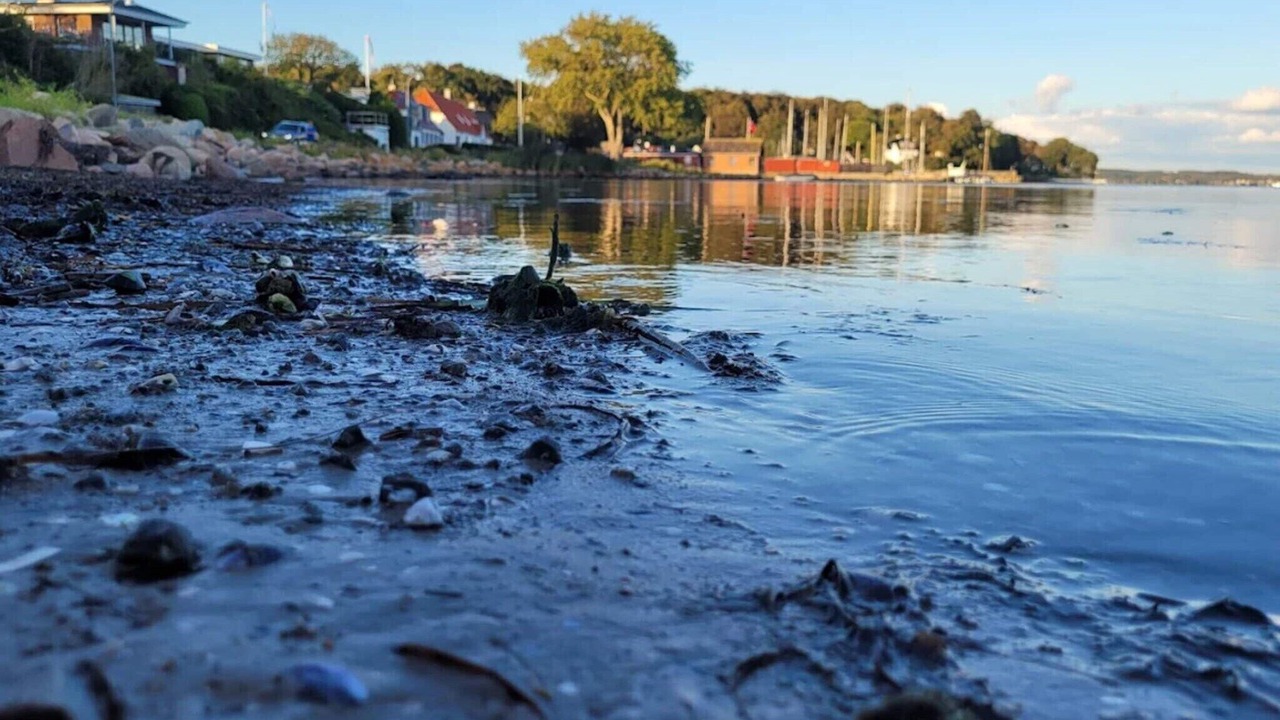 Photo of Others in Faaborg