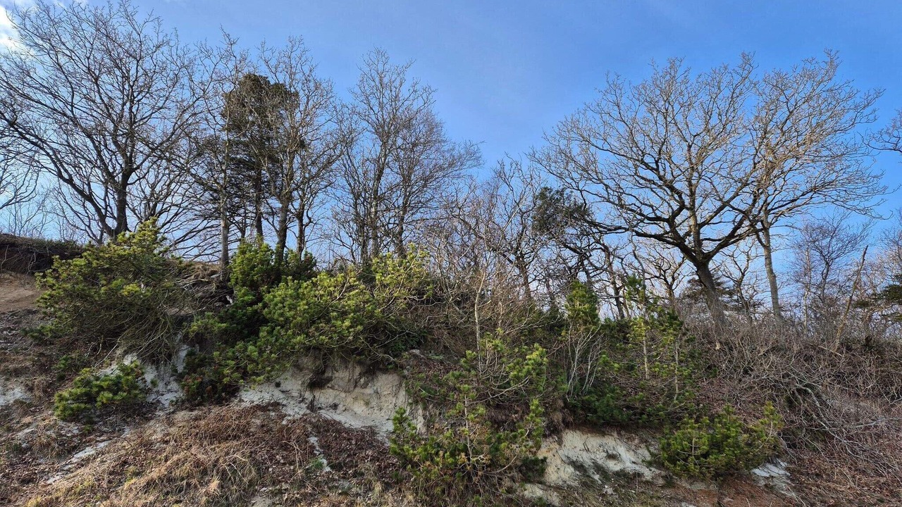 Photo of Others in Thyholm