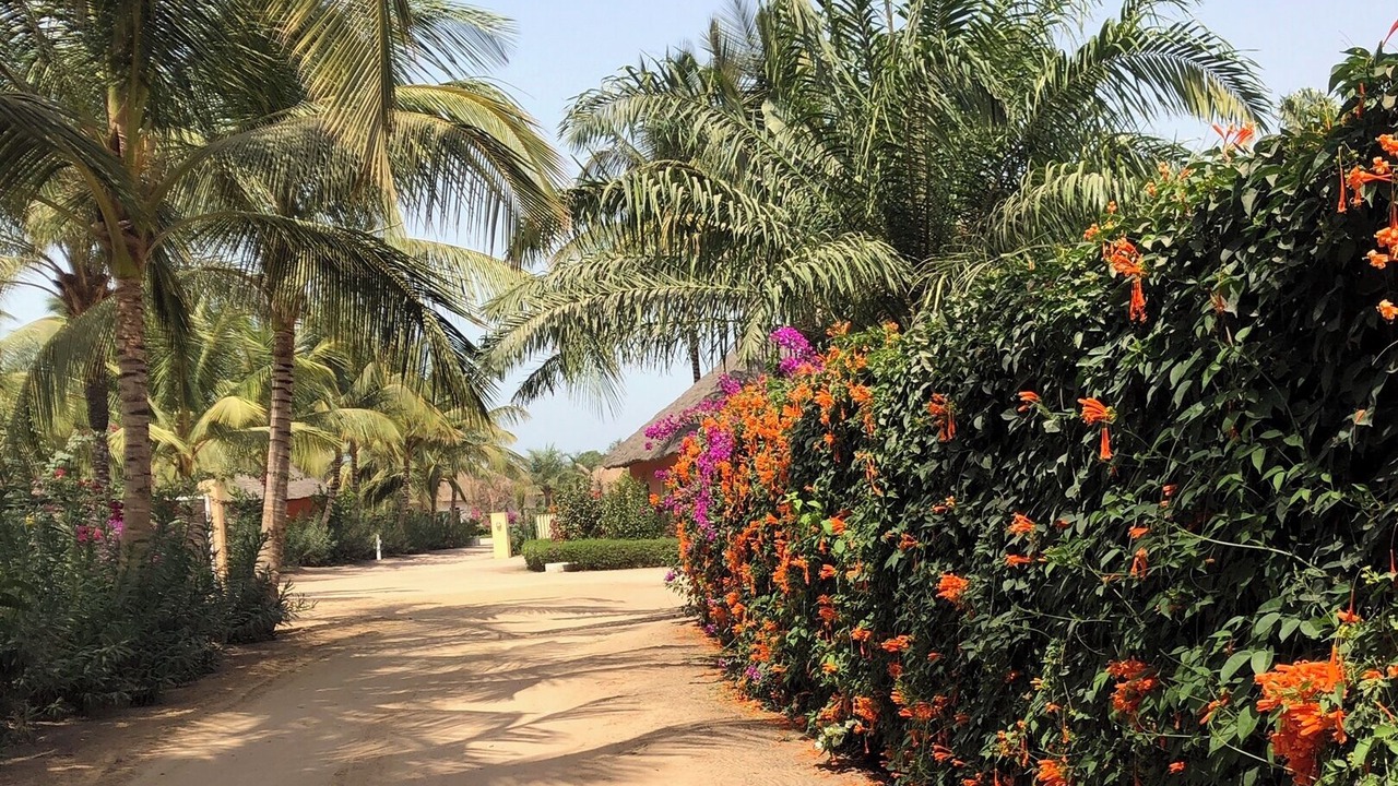 Photo of Outdoor in Cap Skirring