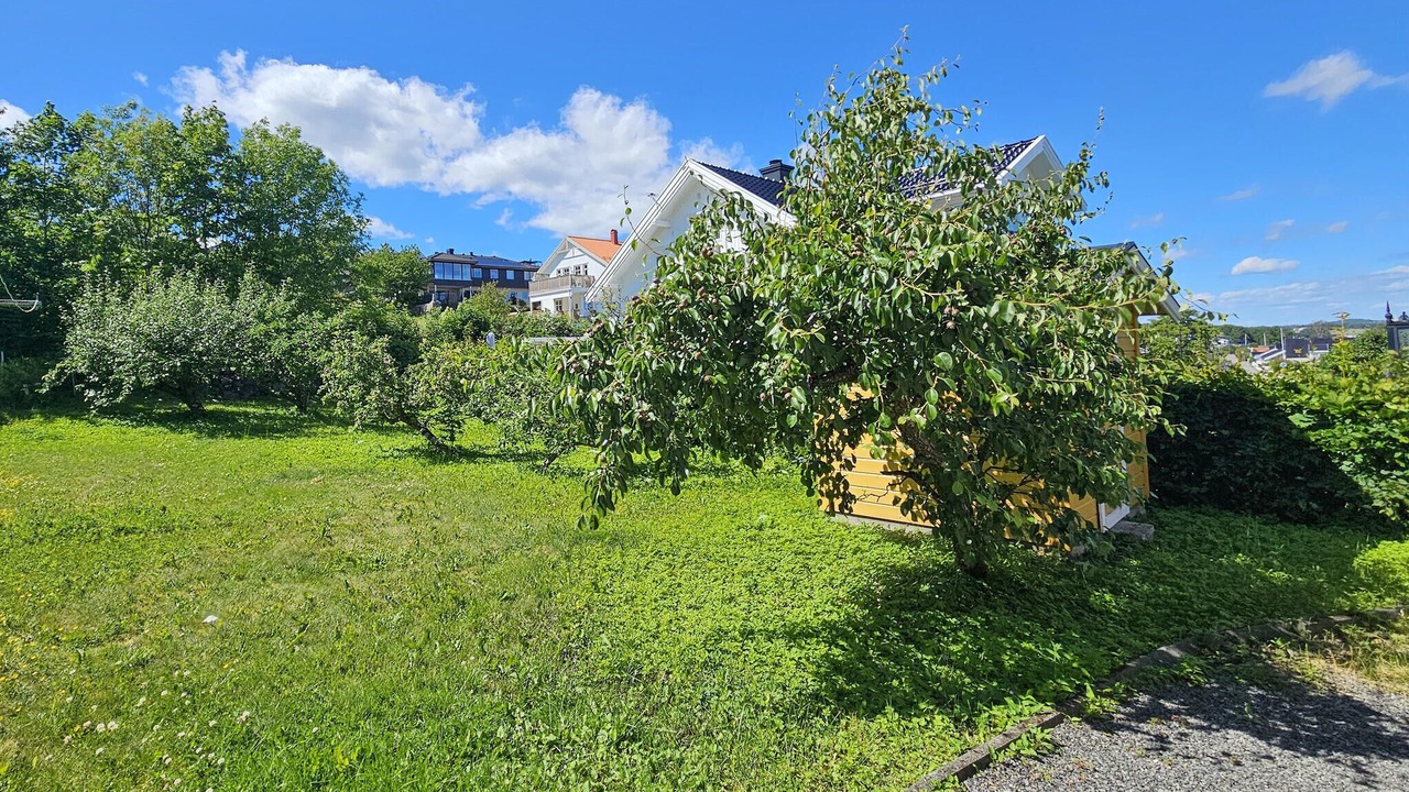 Photo of Others in Asgardstrand