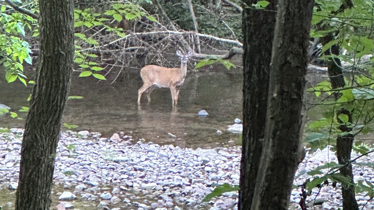 Photo of Outdoor in Max Meadows