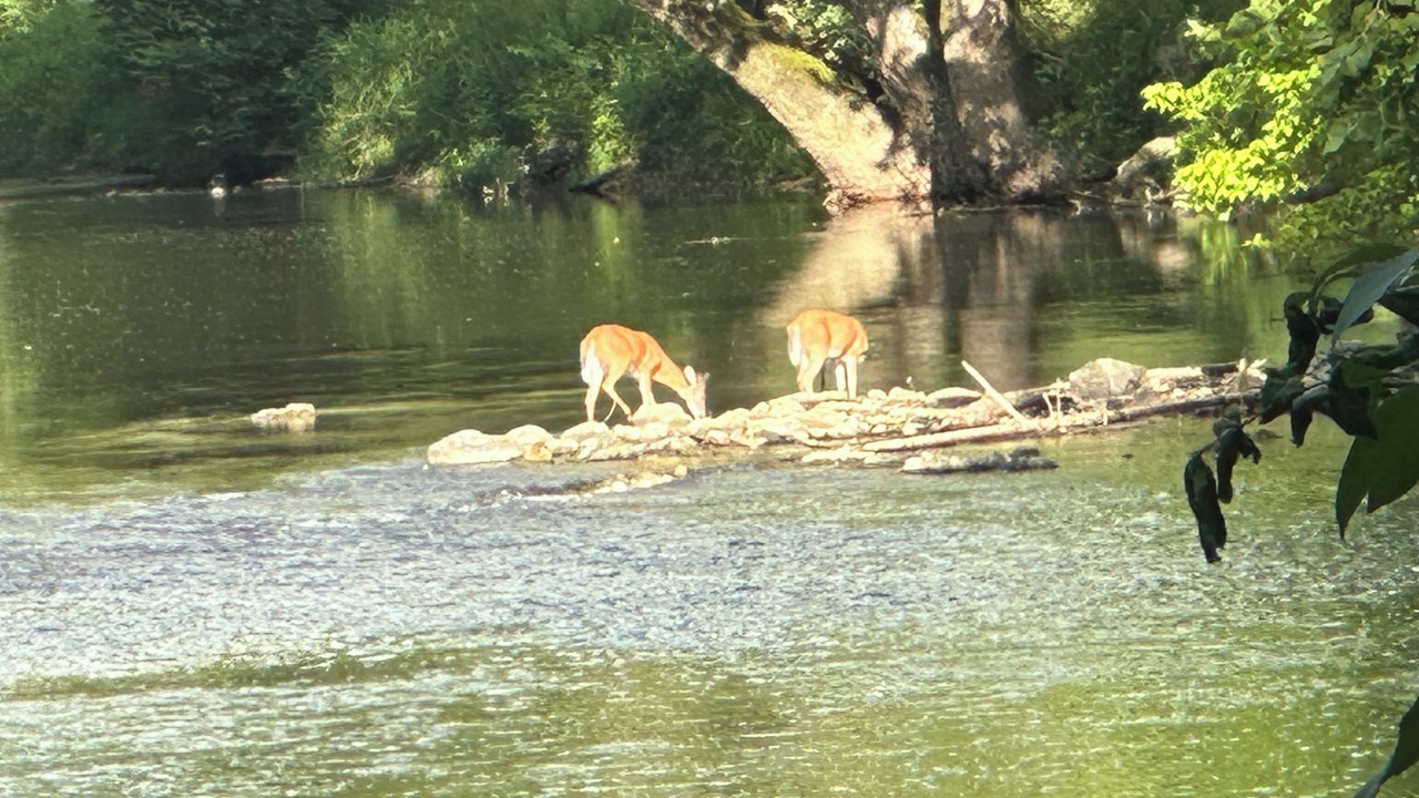 Photo of Outdoor in Max Meadows