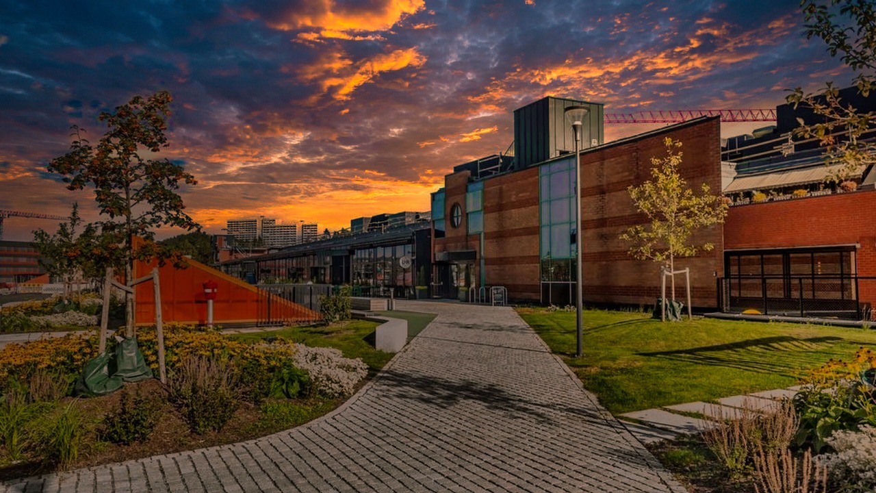 Photo of Outdoor in Rasta