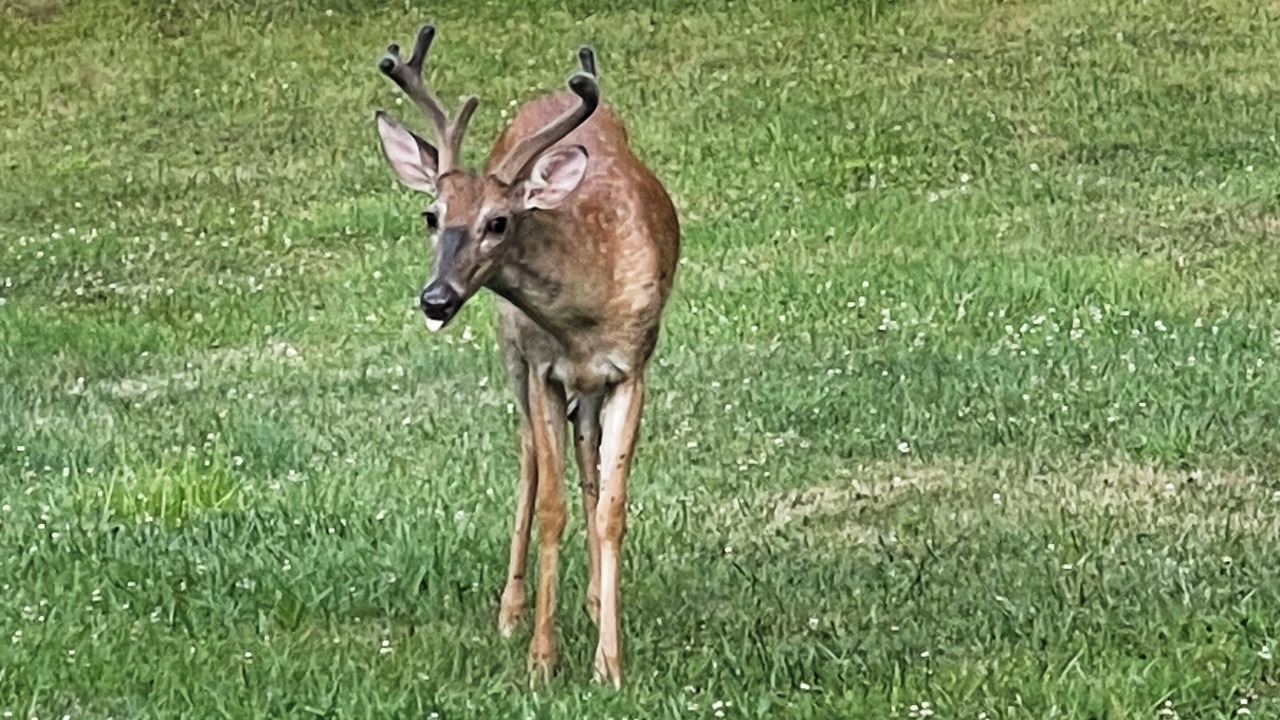 Photo of Others in Bluefield