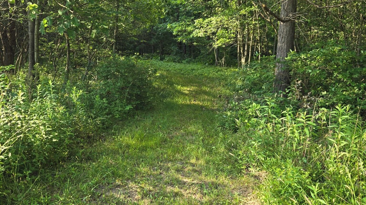 Photo of Others in Munson