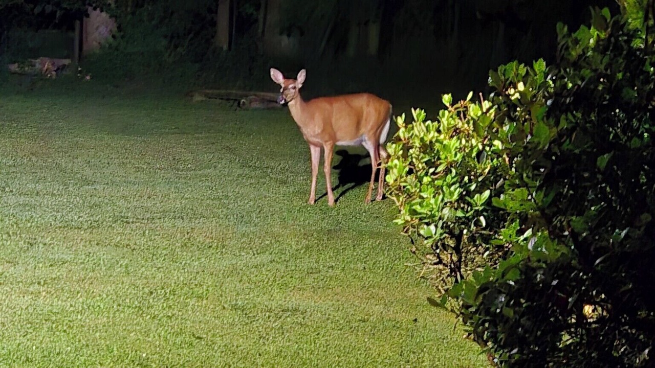 Photo of Outdoor in Munson