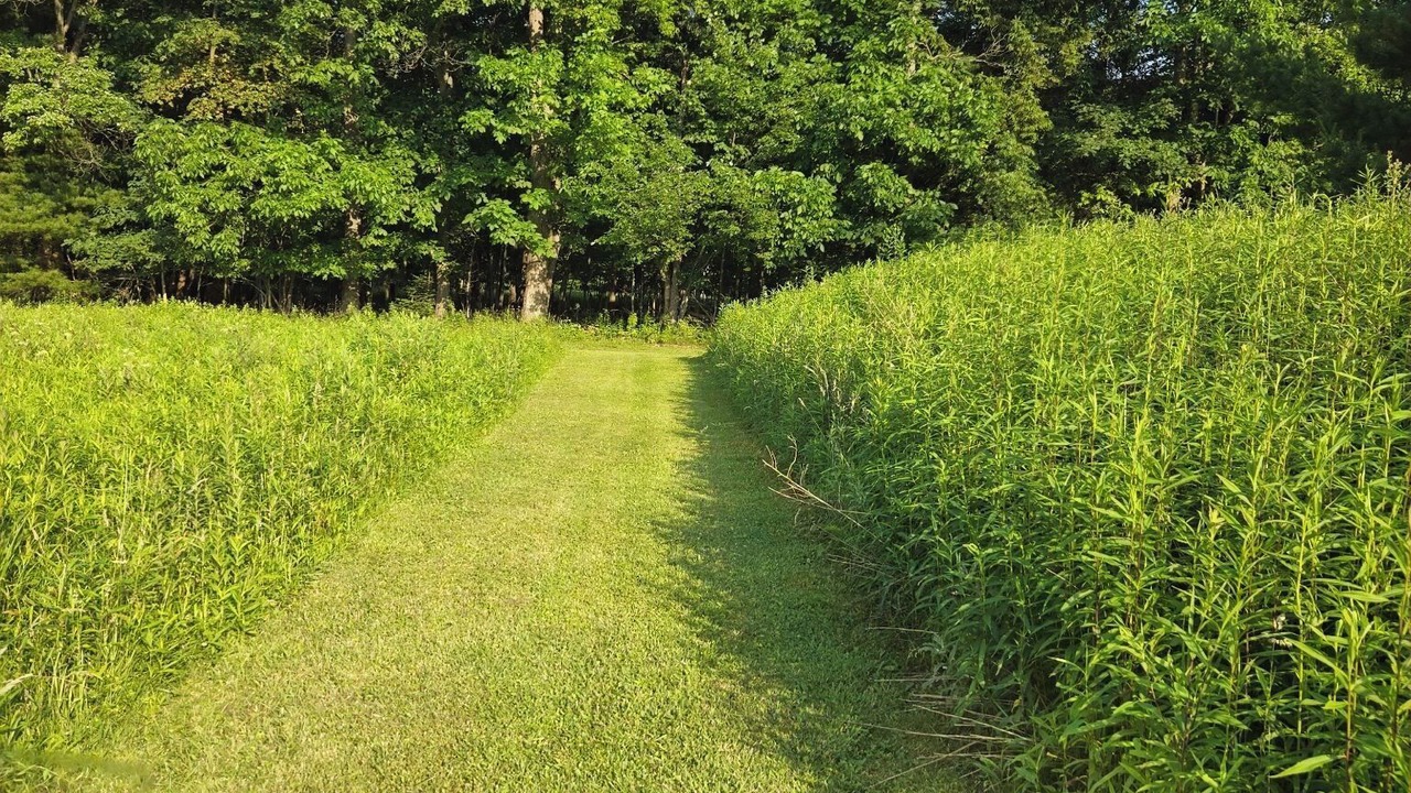 Photo of Others in Munson