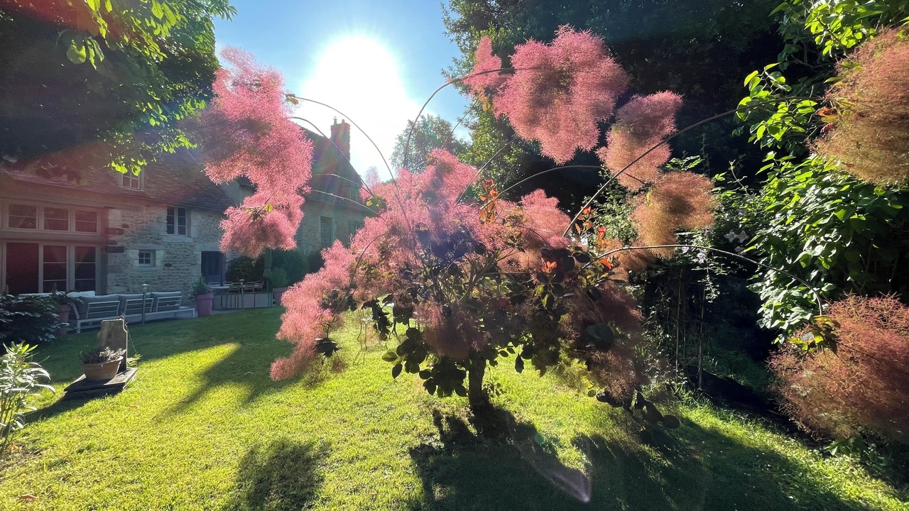 Photo of Outdoor in Saint-Germain-sur-Sarthe