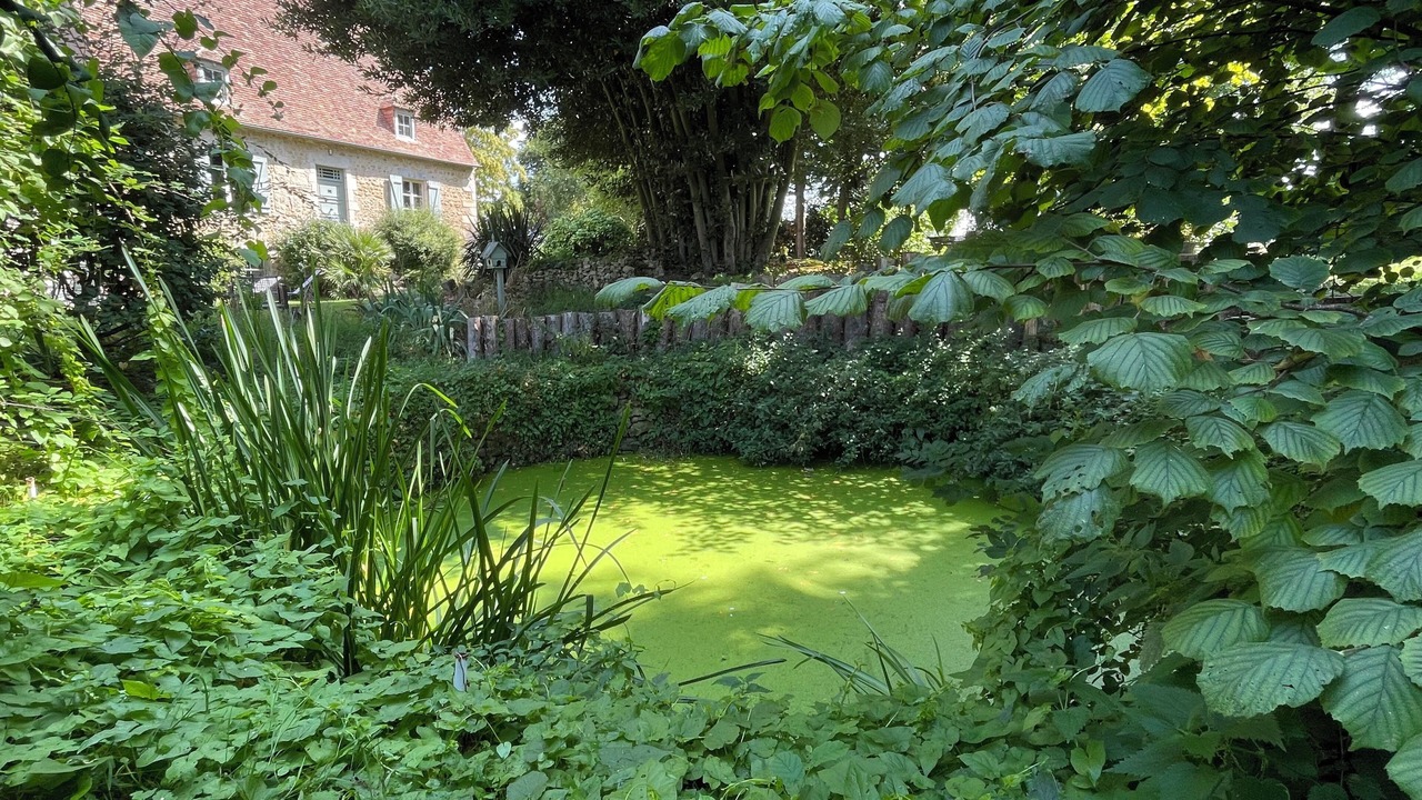 Photo of Outdoor in Saint-Germain-sur-Sarthe