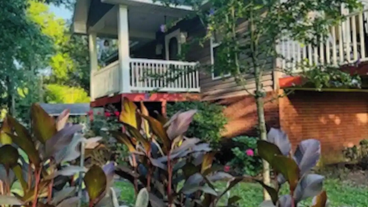 Photo of Outdoor in Laceys Spring