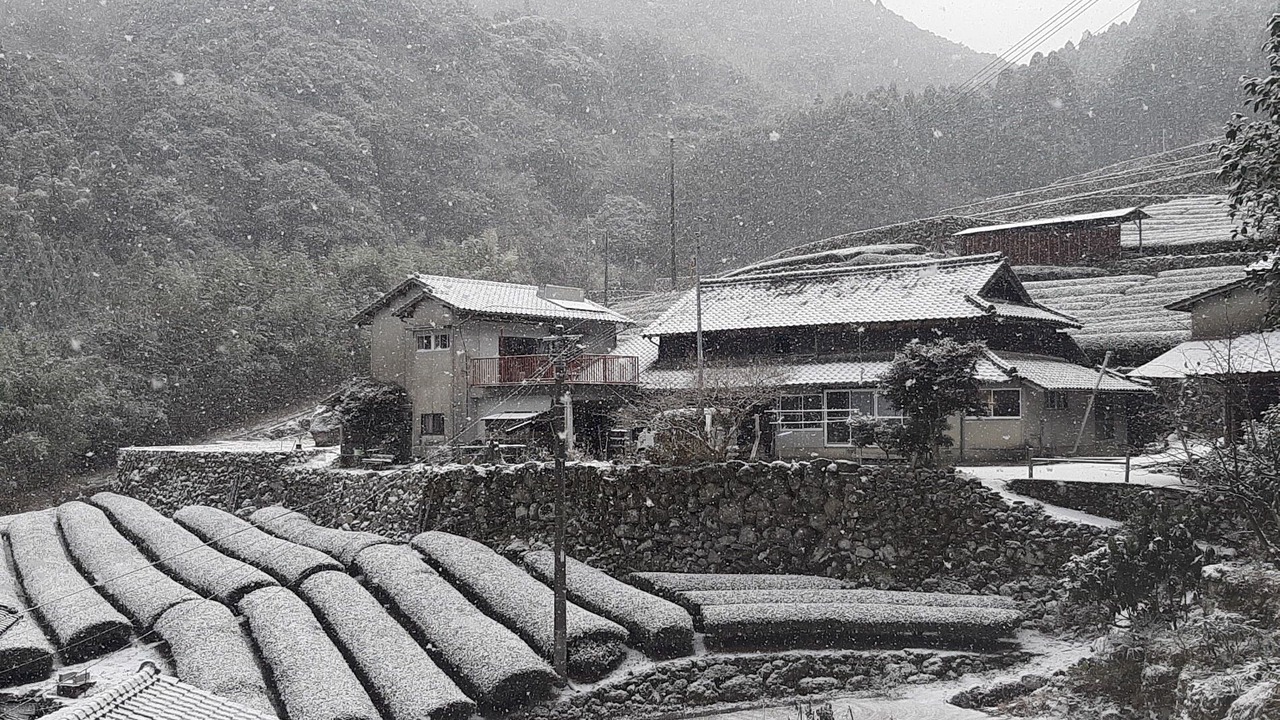 Photo of Outdoor in Yame
