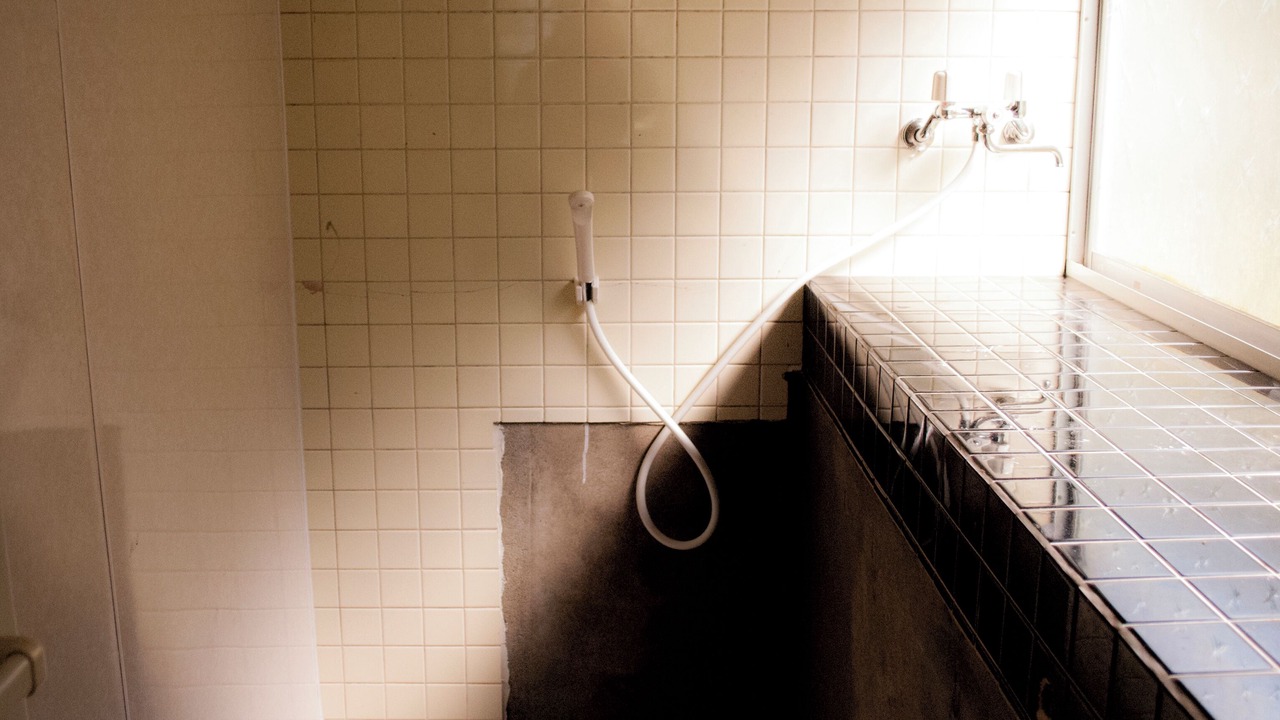 Photo of Bathroom in Yame