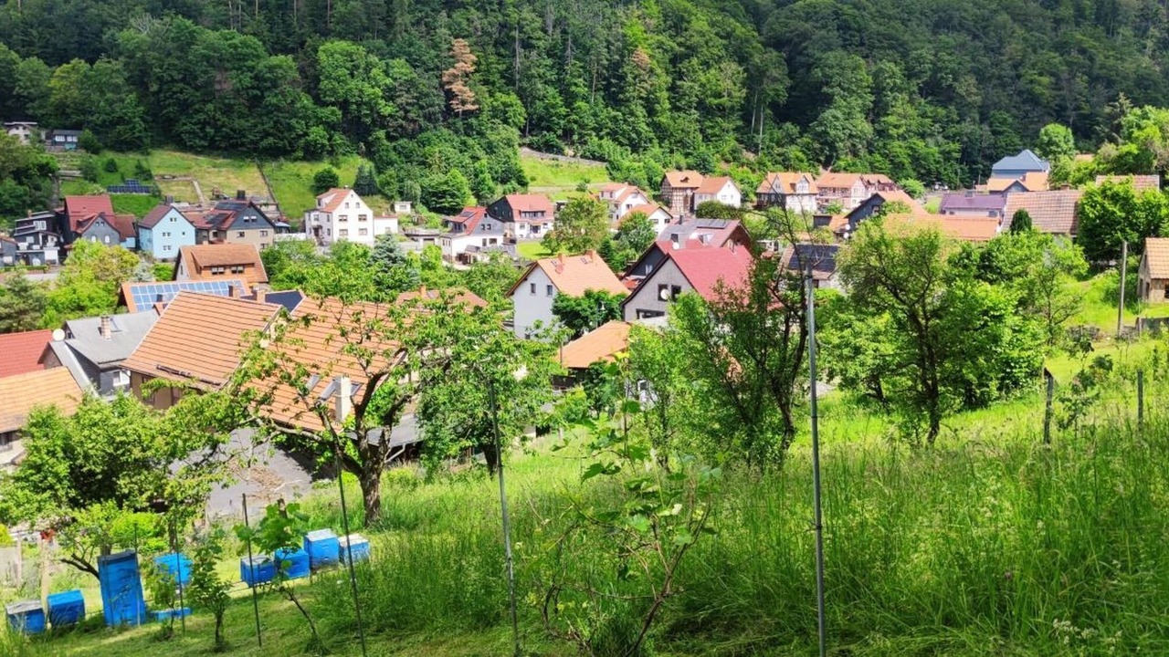 Photo of Others in Bad Liebenstein
