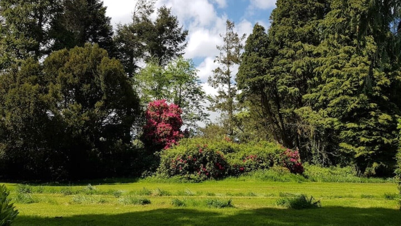 Photo of Outdoor in Knockaderry Cross Roads