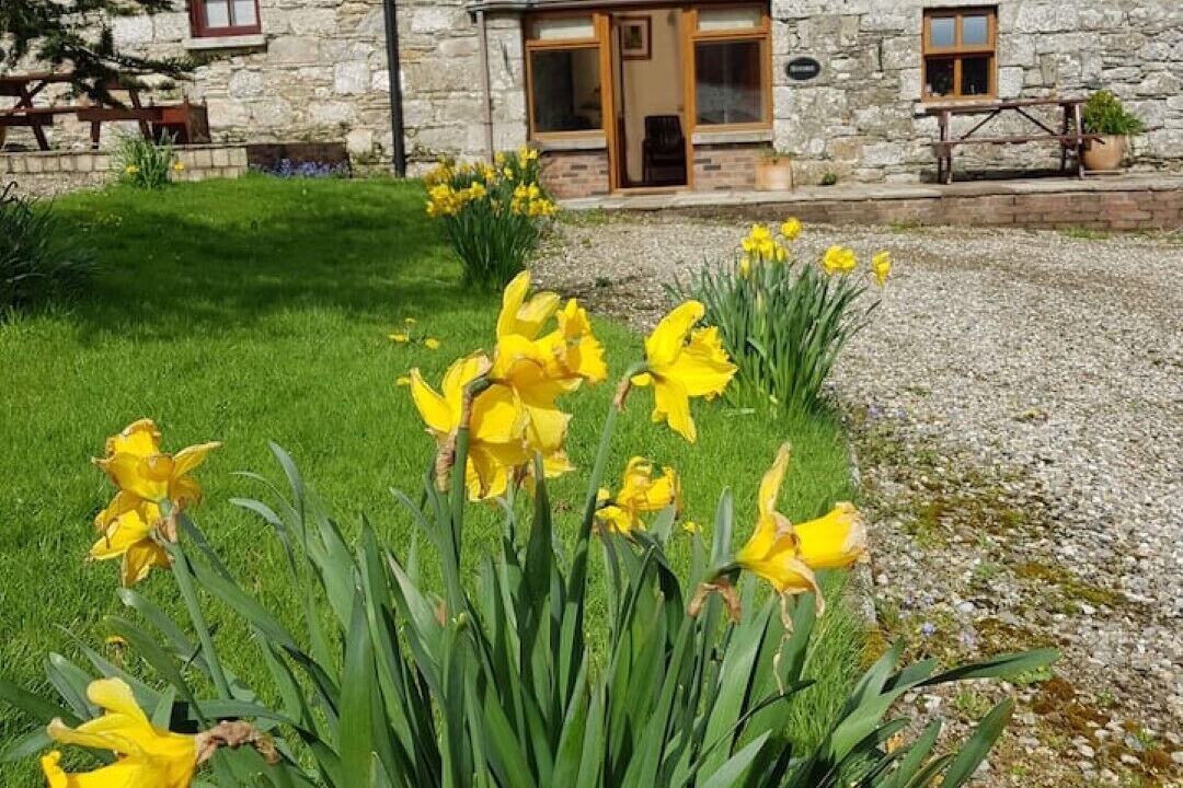 Photo of Outdoor in Knockaderry Cross Roads