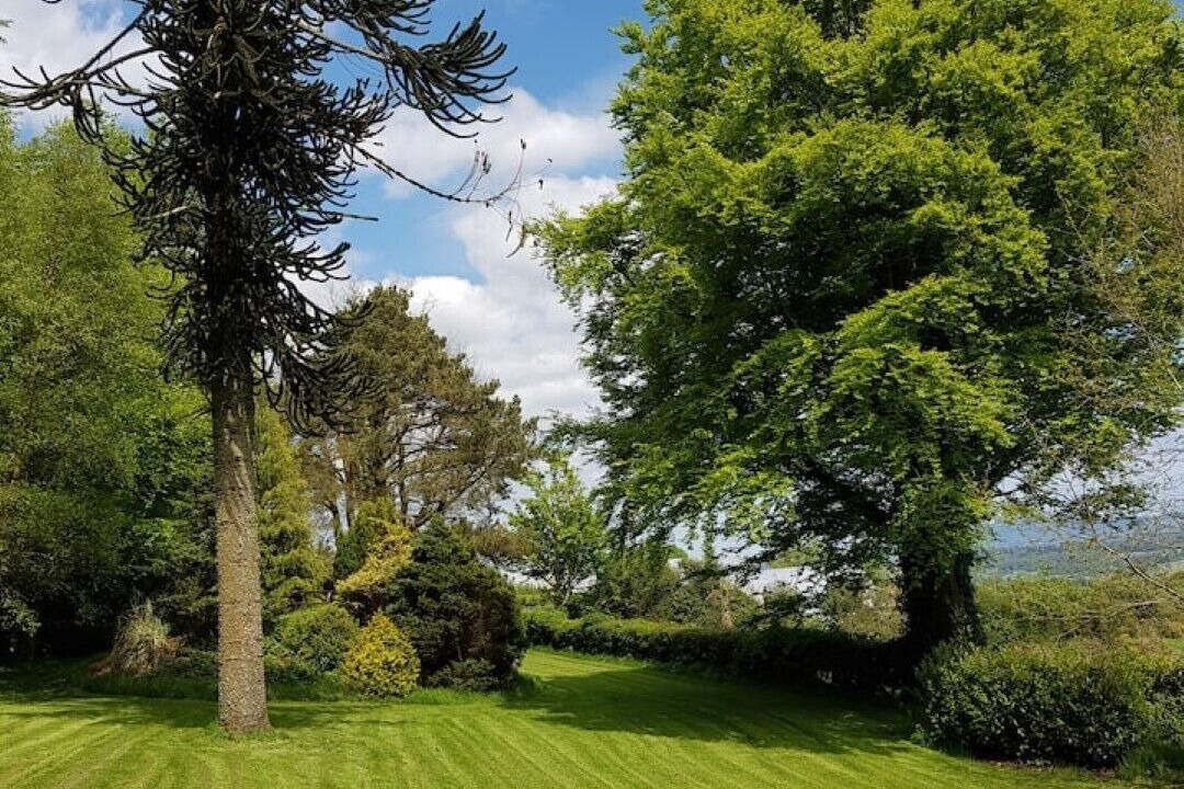 Photo of Outdoor in Knockaderry Cross Roads