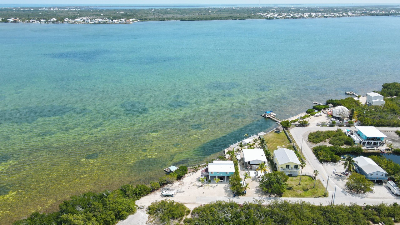 Photo of Outdoor in Little Torch Key