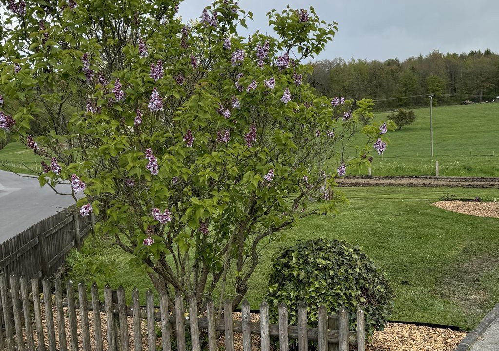 Photo of Outdoor in Idesheim