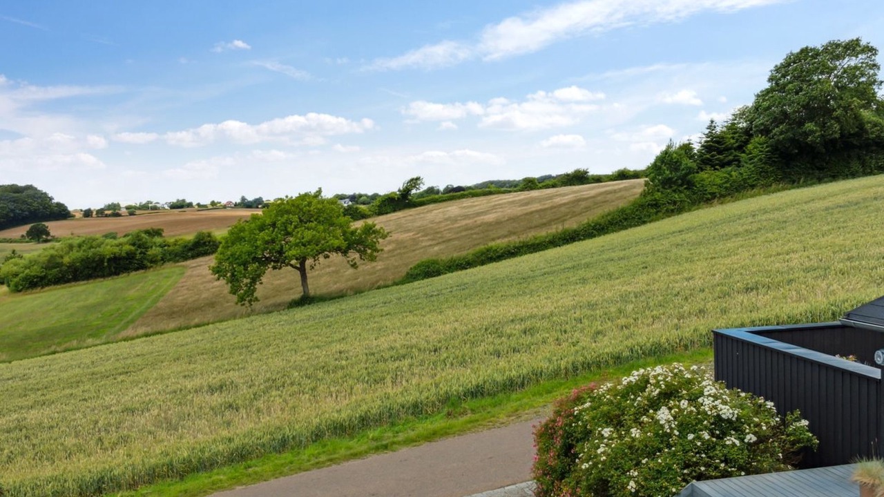 Photo of Others in Bjert