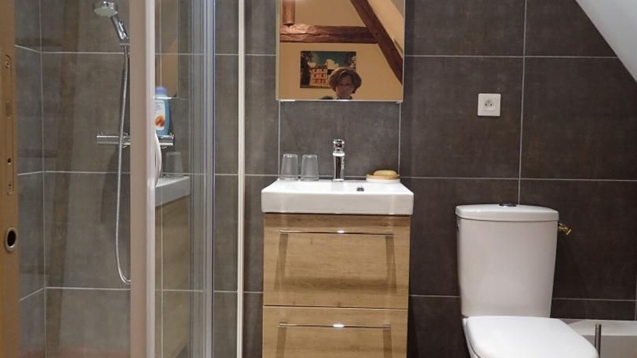 Photo of Bathroom in Tuffe Val de la Cheronne