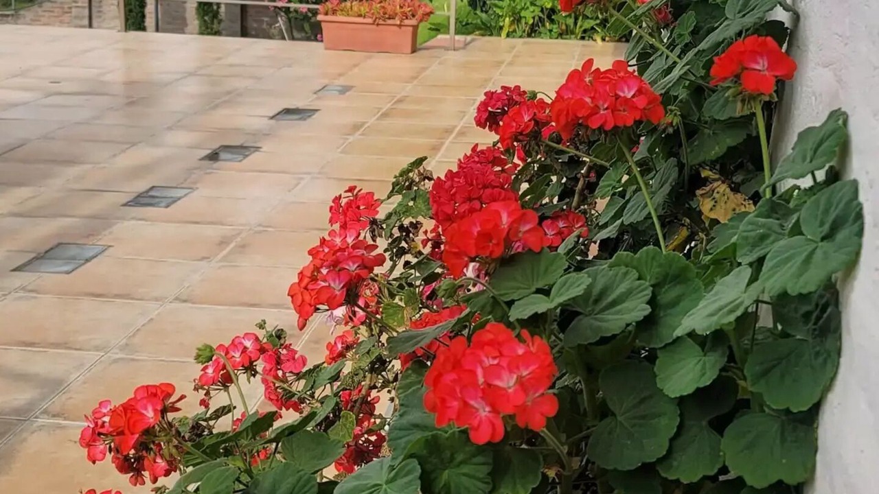Photo of Outdoor in Tumbaco